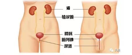 1-1F621100U5240.jpg